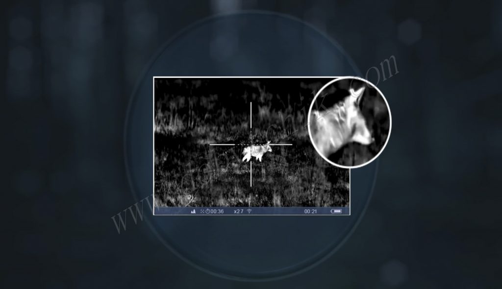 Картинка тепловизора-прицела Pulsar Trail XP/XQ лишена цифрового шума